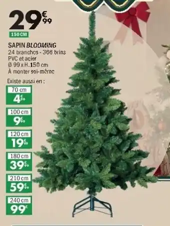 La Foir'Fouille Sapin blooming offre