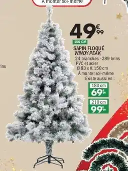 La Foir'Fouille Sapin floqué windy peak offre
