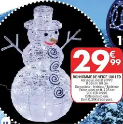 La Foir'Fouille Bonhomme de neige 100 led offre
