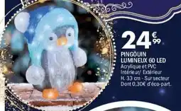 La Foir'Fouille Pingouin lumineux 60 led offre