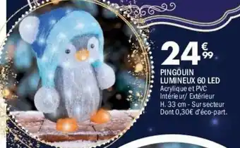 La Foir'Fouille Pingouin lumineux 60 led offre