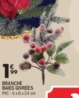 La Foir'Fouille Branche baies givrées offre