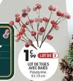 La Foir'Fouille Lot de tiges avec baies offre