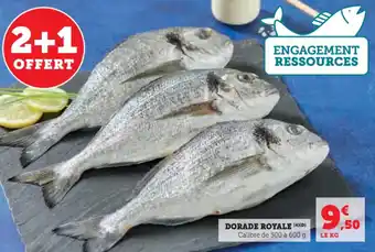 Hyper U Dorade royale offre