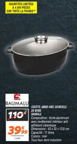 Netto Cocotte jambo amec couvercle en verre baumalu offre