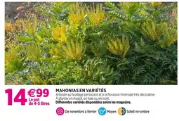 Delbard Mahonias en variétés offre