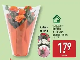 ALDI Gardenline - autres rosier offre