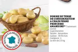 U Express Pomme de terre de consommation a chair ferme princesse amandine offre