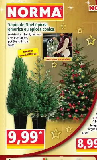 Sapin de Noël épicéa omorica ou épicéa conica