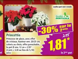 Norma Princettia offre