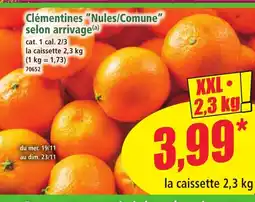 Norma Clémentines Nules/Comune selon arrivage offre