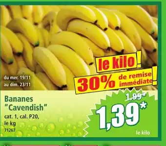 Norma Bananes Cavendish offre