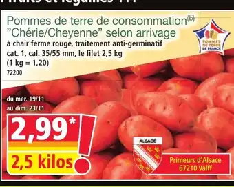 Norma Pommes de terre de consommation Chérie/Cheyenne selon arrivage offre