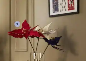 Auchan ACTUEL Fleur poinsettia velours offre