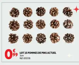 Auchan ACTUEL Lot 15 pommes de pins offre