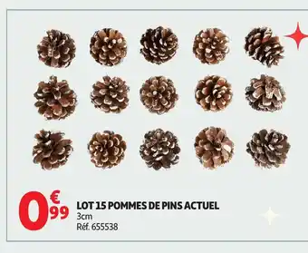 Auchan ACTUEL Lot 15 pommes de pins offre