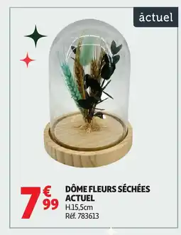 Auchan ACTUEL Dôme fleurs séchées offre