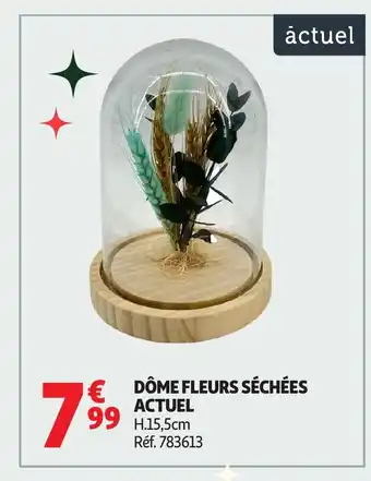 Auchan ACTUEL Dôme fleurs séchées offre