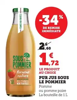Bi1 Pur jus sous le pommier offre