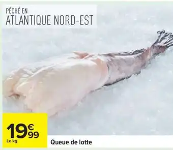 Carrefour QUEUE DE LOTTE offre