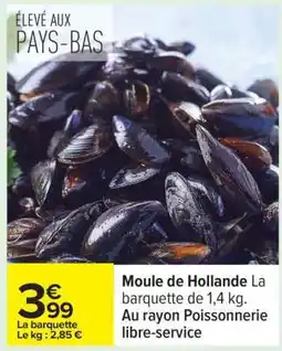 Carrefour MOULE DE HOLLANDE offre