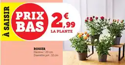 Bi1 Rosier offre