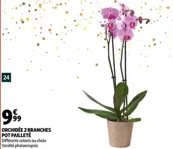 Auchan Orchidée 2 branches pot pailleté offre