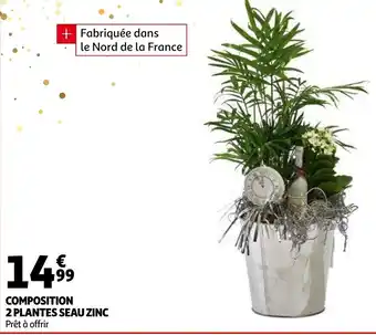 Auchan Composition 2 plantes seau zinc offre