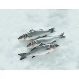 Carrefour CARREFOUR Bar offre