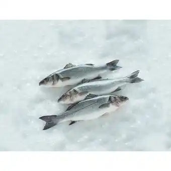 Carrefour CARREFOUR Bar offre