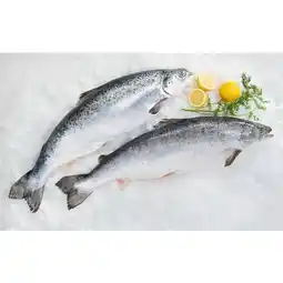 Carrefour FILIERE QUALITE CARF Saumon Atlantique entier FILIÈRE QUALITÉ CARREFOUR ASC offre