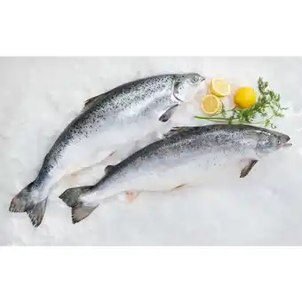 Carrefour FILIERE QUALITE CARF Saumon Atlantique entier FILIÈRE QUALITÉ CARREFOUR ASC offre