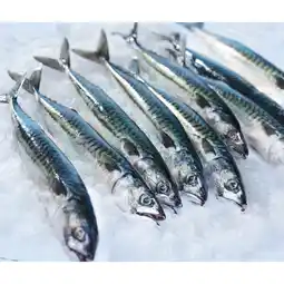 Carrefour CARREFOUR Maquereau offre