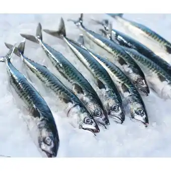 Carrefour CARREFOUR Maquereau offre