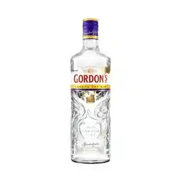 Carrefour GORDON'S Gin offre