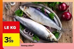Carrefour Hareng côtier offre