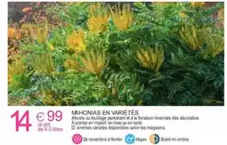 Delbard Mshonias en variétés offre