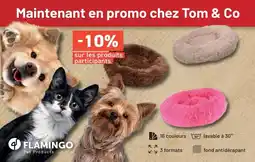Tom&Co Maintenant en promo chez tom & co offre