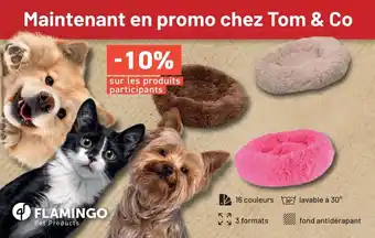 Tom&Co Maintenant en promo chez tom & co offre