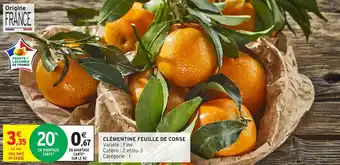 Intermarché Hyper Clémentine feuille de corse offre