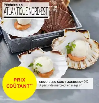 Intermarché Hyper Coquilles saint jacques offre