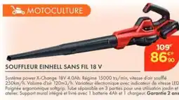 Point Vert Souffleur einhell sans fil 18 v offre