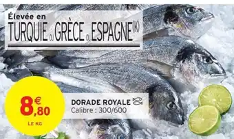 Intermarché Hyper Dorade royale offre