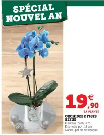 Super U Orchidee 2 Tiges offre