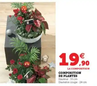 Super U Composition de Plantes offre