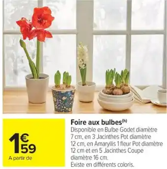 Carrefour Market Foire aux bulbes offre