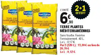 E.Leclerc Brico Terre plantes méditerranéennes offre