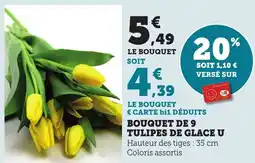 Bi1 Bouquet de 9 tulipes de glace u offre