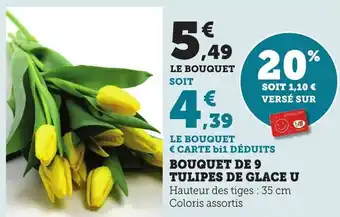 Bi1 Bouquet de 9 tulipes de glace u offre