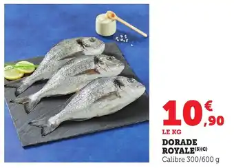 Bi1 Dorade royale offre